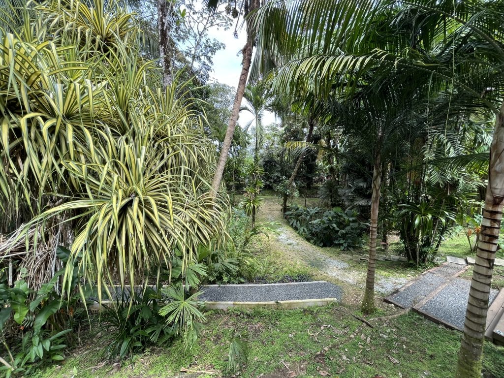 New two-bedroom home for sale within Finca Los Monos Botanical Garden, Isla Colón — photo 75