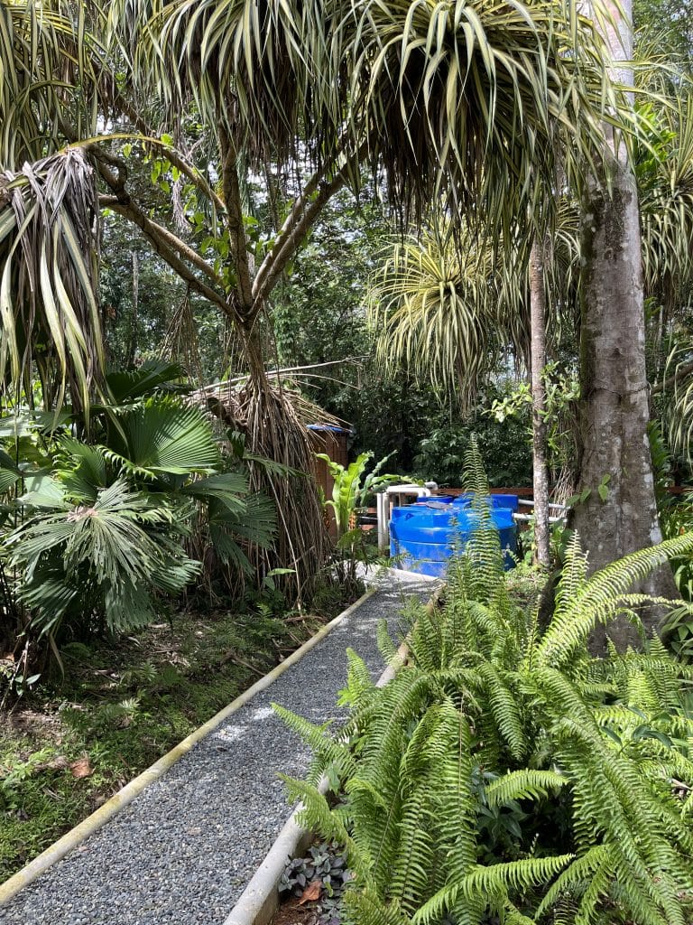 New two-bedroom home for sale within Finca Los Monos Botanical Garden, Isla Colón — photo 78