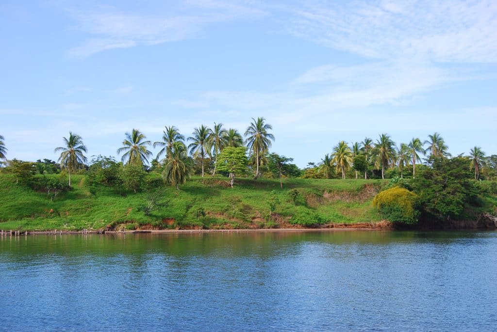 100 hectares of titled land for sale on Cayo de Agua, Bocas del Toro — photo 5