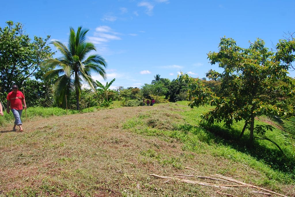100 hectares of titled land for sale on Cayo de Agua, Bocas del Toro — photo 7