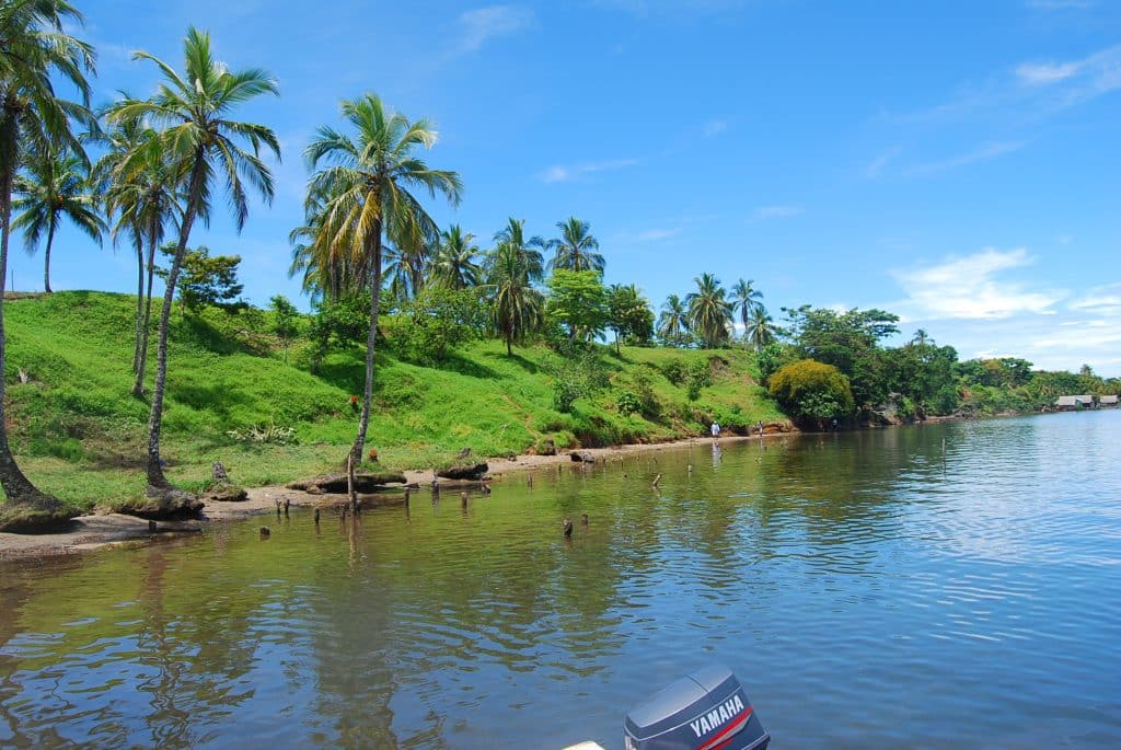 100 hectares of titled land for sale on Cayo de Agua, Bocas del Toro — photo 9