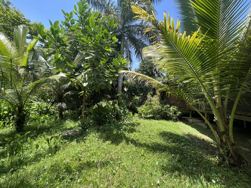 Villa Inti tropical three-bedroom home for sale steps from the beach in Big Creek, Isla Colón — photo 30