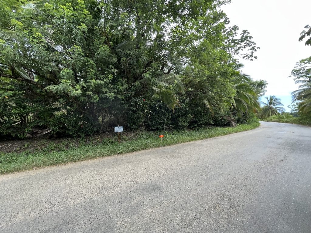 3,407 m² elevated lot with views over Bocas Town and bay for sale on Isla Colón — photo 2