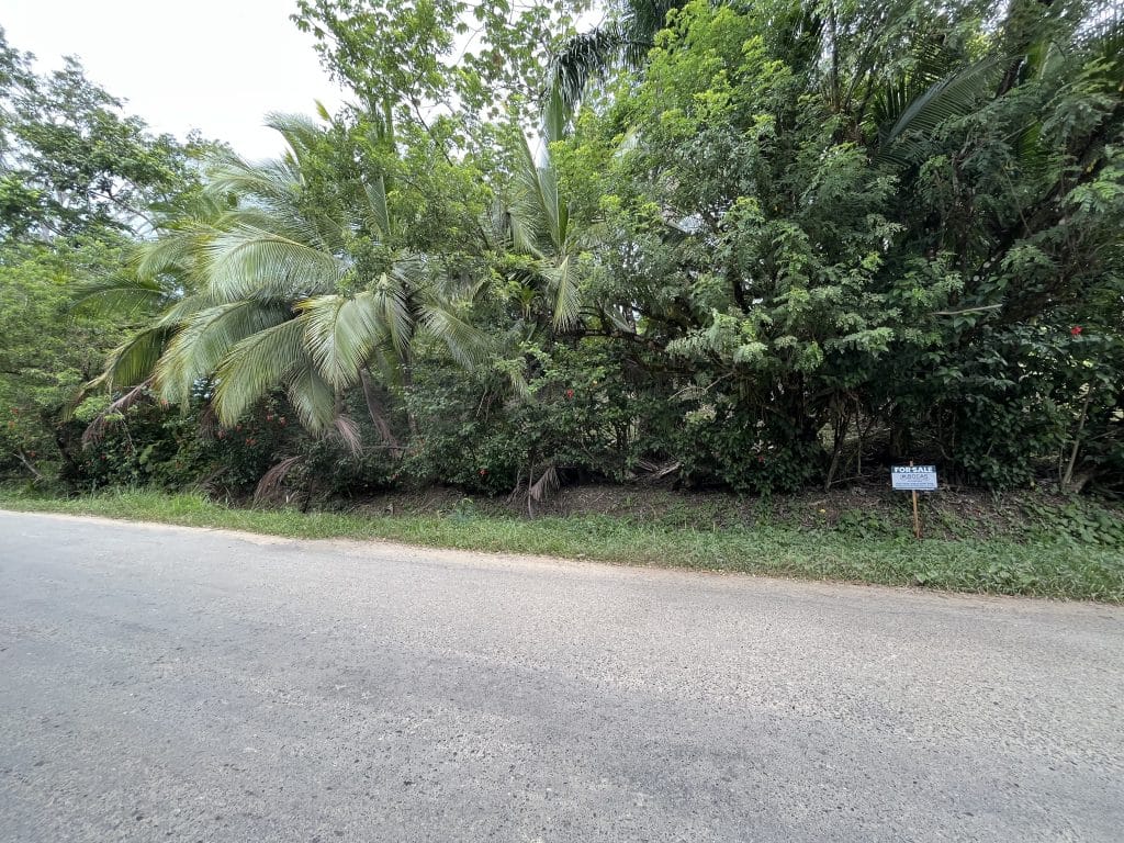 3,407 m² elevated lot with views over Bocas Town and bay for sale on Isla Colón — photo 3
