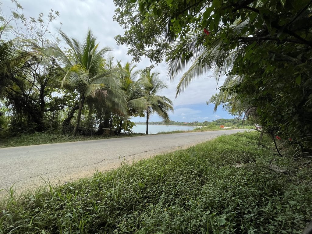 3,407 m² elevated lot with views over Bocas Town and bay for sale on Isla Colón — photo 4