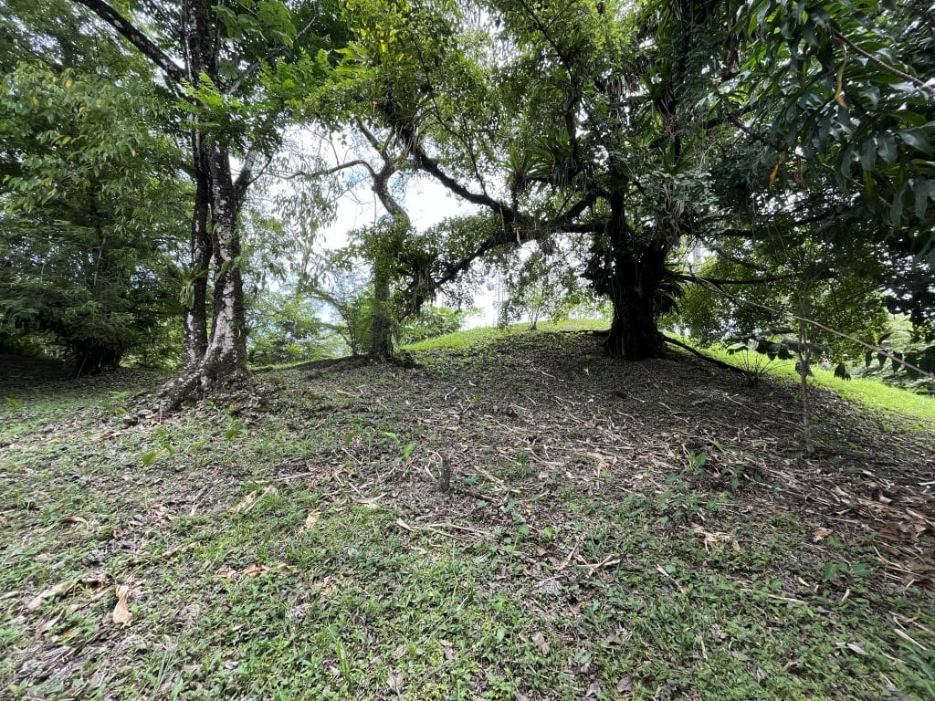 3,407 m² elevated lot with views over Bocas Town and bay for sale on Isla Colón — photo 5