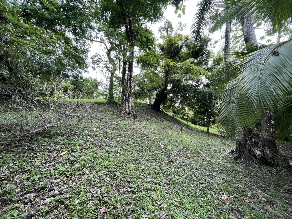 3,407 m² elevated lot with views over Bocas Town and bay for sale on Isla Colón — photo 6