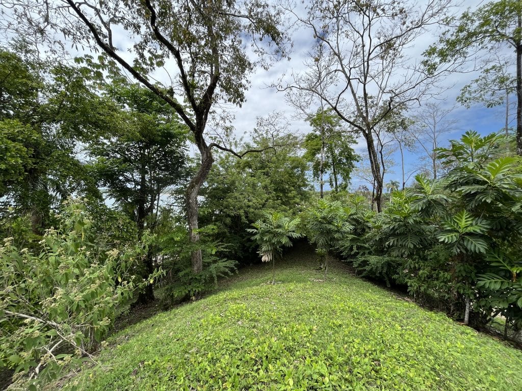 3,407 m² elevated lot with views over Bocas Town and bay for sale on Isla Colón — photo 8