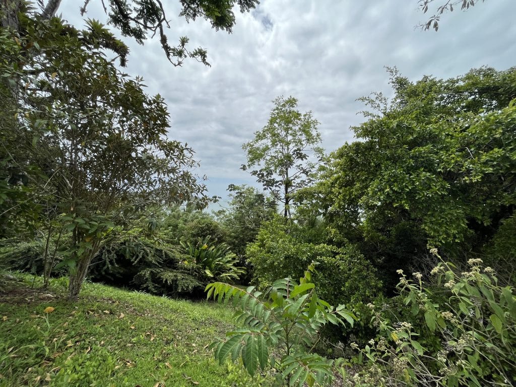3,407 m² elevated lot with views over Bocas Town and bay for sale on Isla Colón — photo 9