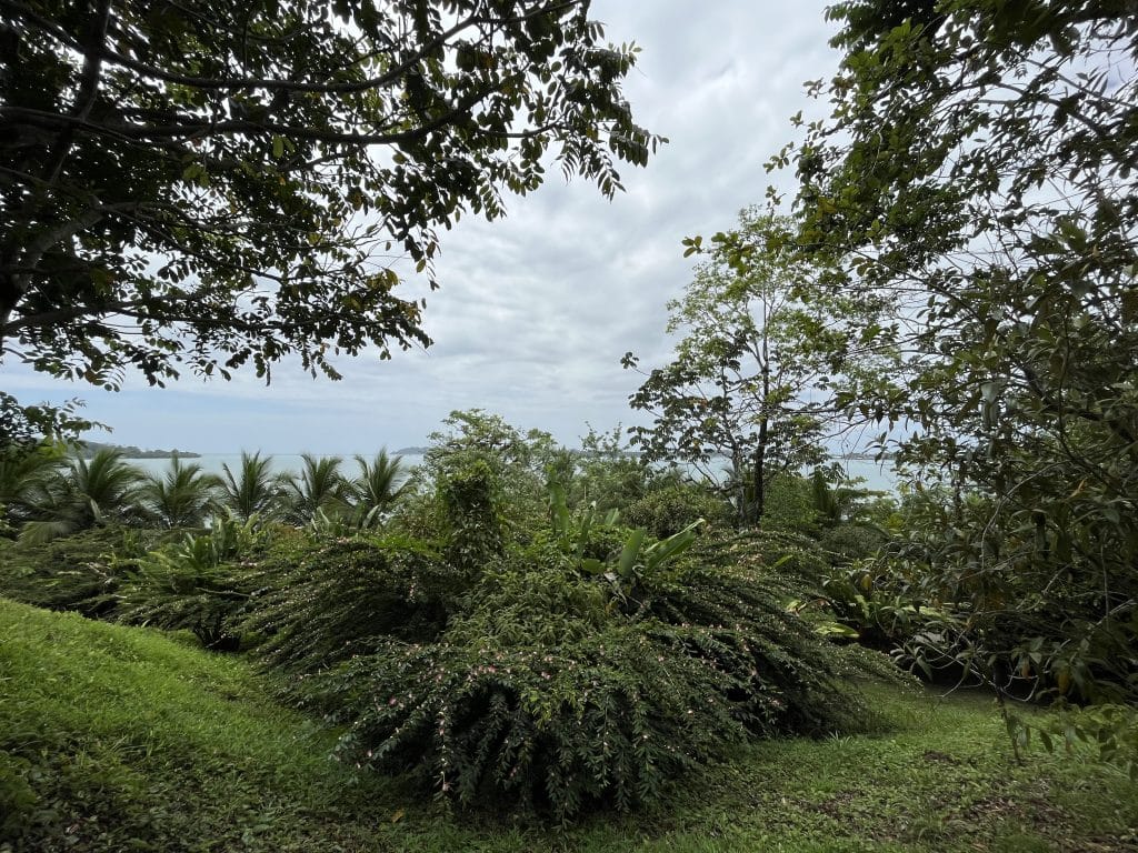 3,407 m² elevated lot with views over Bocas Town and bay for sale on Isla Colón — photo 10