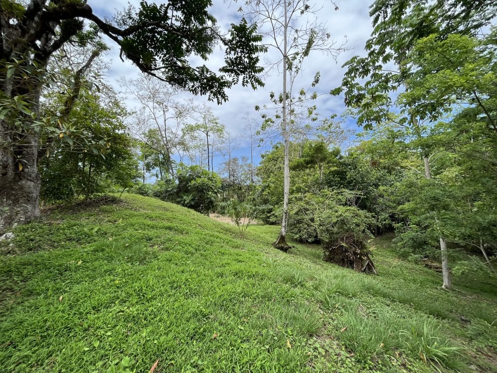 3,407 m² elevated lot with views over Bocas Town and bay for sale on Isla Colón — photo 11
