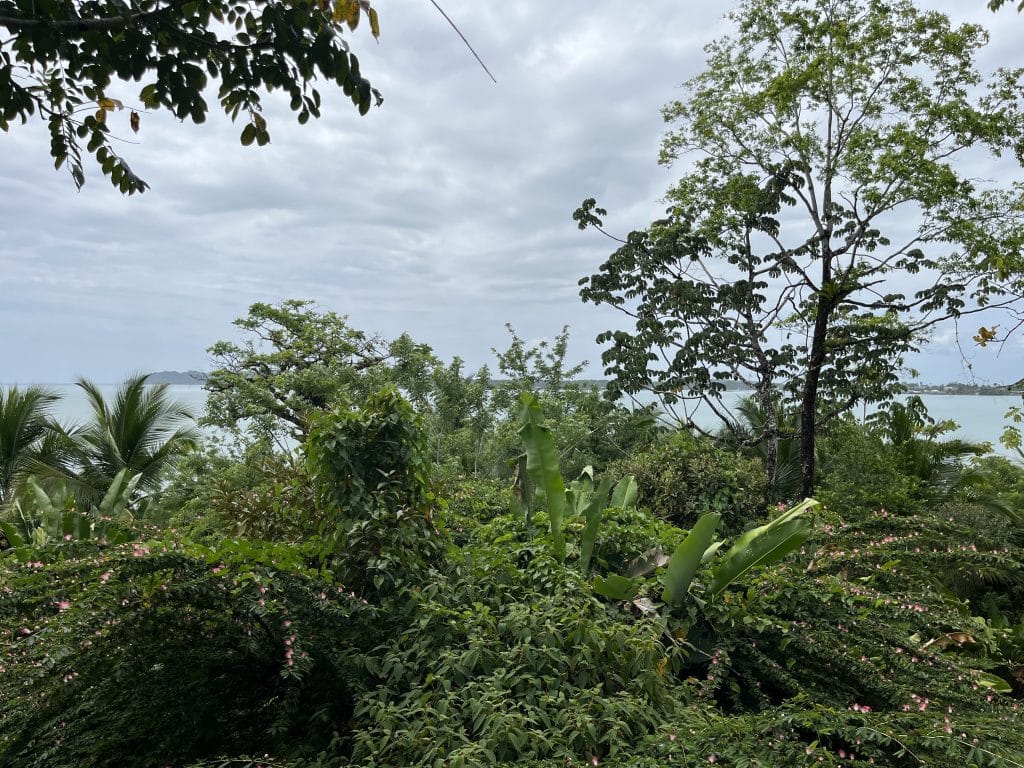 3,407 m² elevated lot with views over Bocas Town and bay for sale on Isla Colón — photo 12