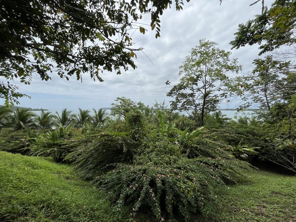 3,407 m² elevated lot with views over Bocas Town and bay for sale on Isla Colón — photo 13
