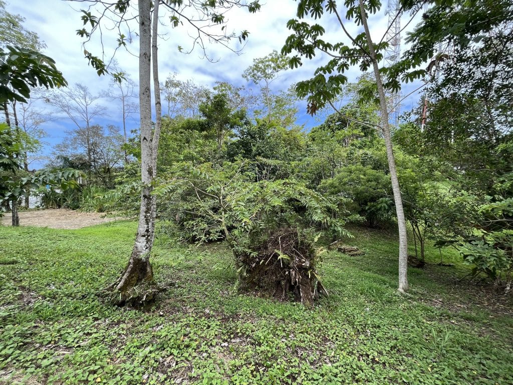 3,407 m² elevated lot with views over Bocas Town and bay for sale on Isla Colón — photo 14