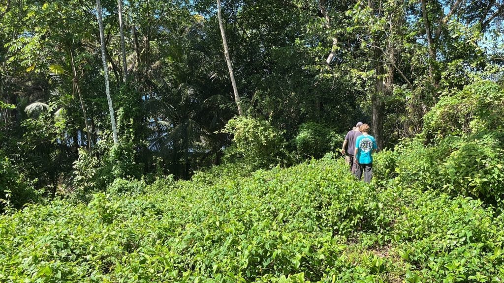 Lot 10, 5,000 m² of land near the surf at Carenero Point, Isla Carenero