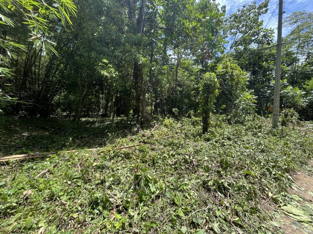 1,586 m² building lot for sale 25 metres from Bluff Beach, Isla Colón, Bocas del Toro
