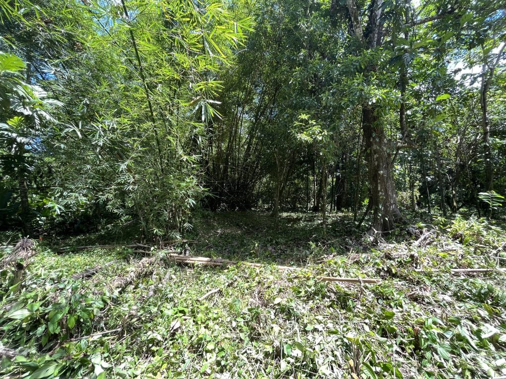 1,586 m² building lot for sale 25 metres from Bluff Beach, Isla Colón, Bocas del Toro — photo 2