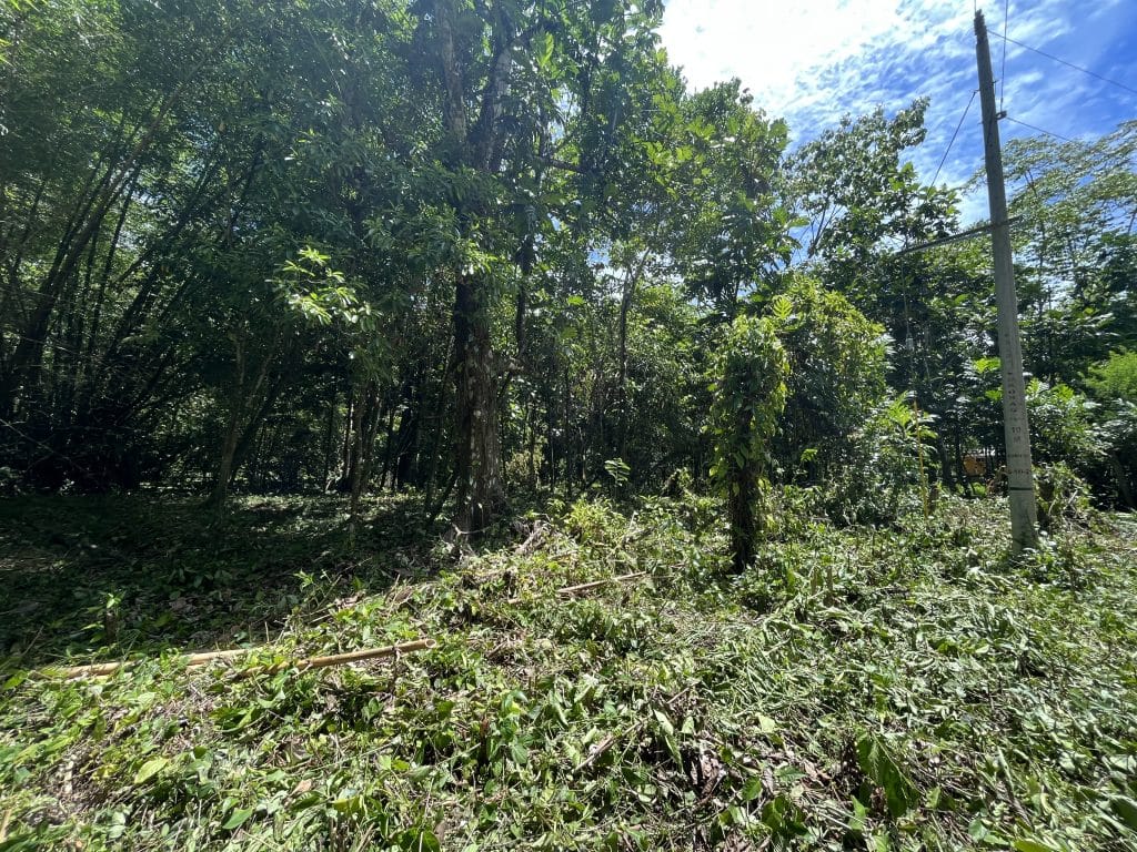 1,586 m² building lot for sale 25 metres from Bluff Beach, Isla Colón, Bocas del Toro — photo 3
