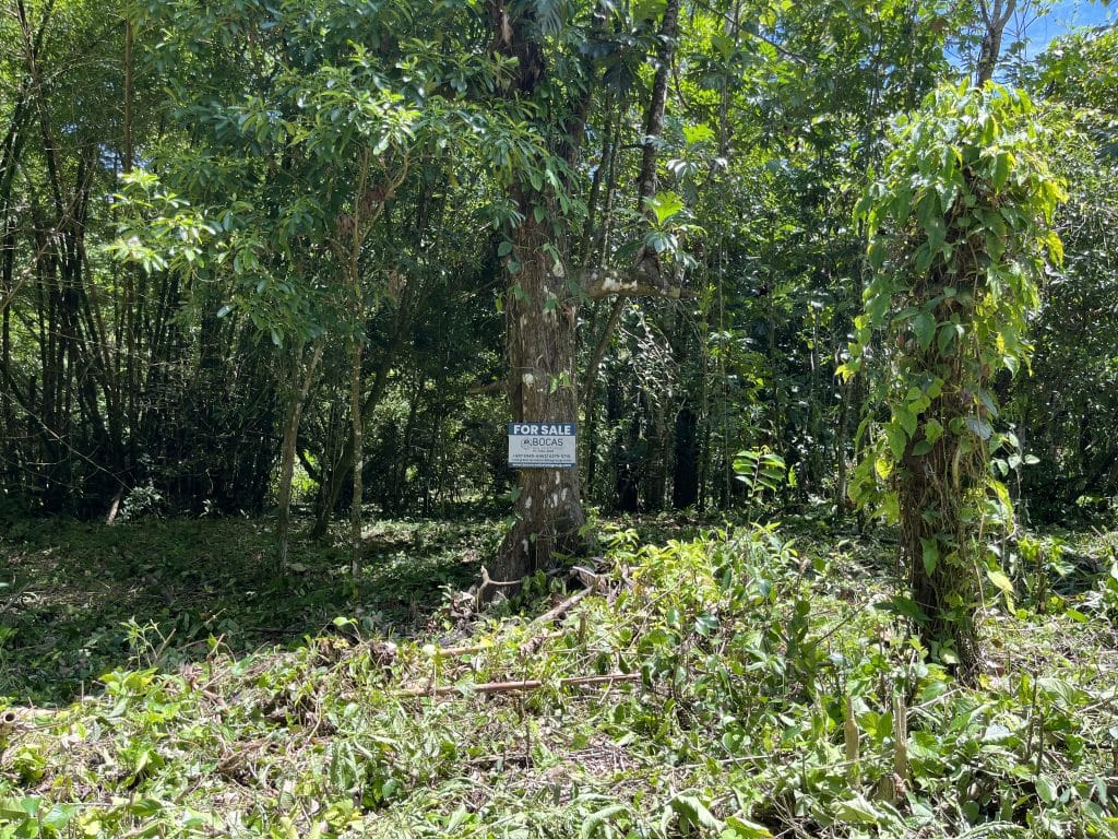 1,586 m² building lot for sale 25 metres from Bluff Beach, Isla Colón, Bocas del Toro — photo 4