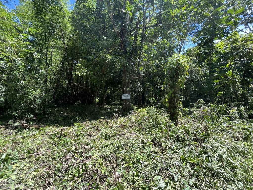 1,586 m² building lot for sale 25 metres from Bluff Beach, Isla Colón, Bocas del Toro — photo 5