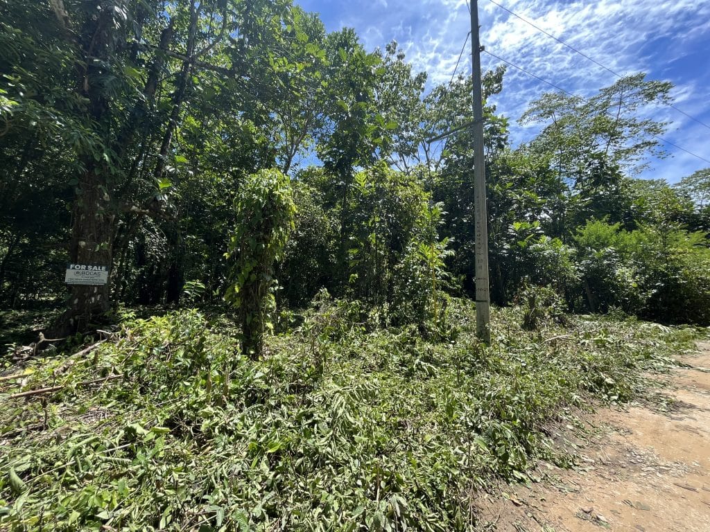1,586 m² building lot for sale 25 metres from Bluff Beach, Isla Colón, Bocas del Toro — photo 6