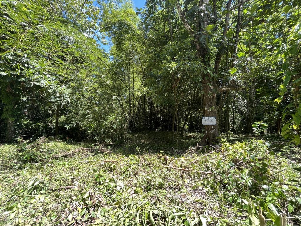 1,586 m² building lot for sale 25 metres from Bluff Beach, Isla Colón, Bocas del Toro — photo 7