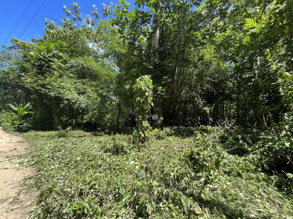1,586 m² building lot for sale 25 metres from Bluff Beach, Isla Colón, Bocas del Toro — photo 8