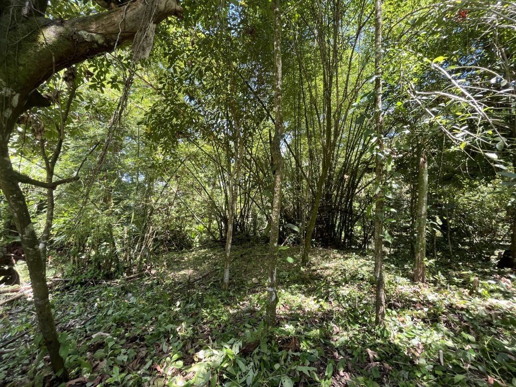 1,586 m² building lot for sale 25 metres from Bluff Beach, Isla Colón, Bocas del Toro — photo 11
