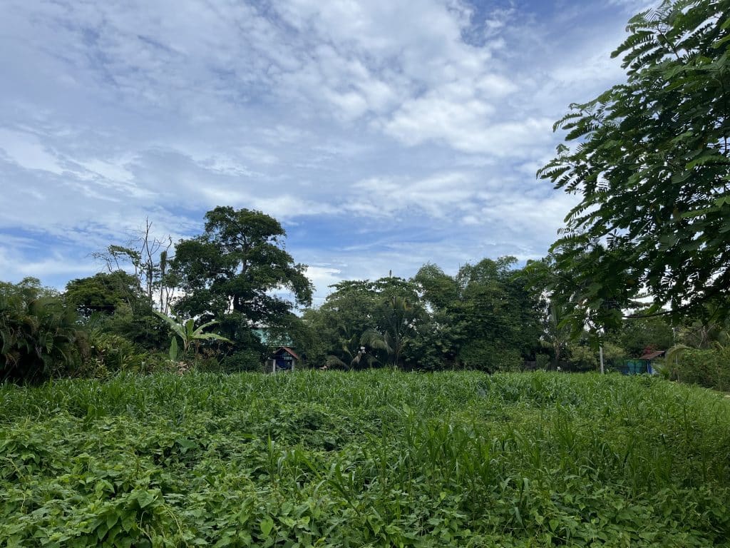 1,000 m² building lot for sale 100 metres from the beach on Isla Colón, Bocas del Toro — photo 3