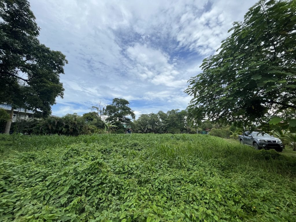 1,000 m² building lot for sale 100 metres from the beach on Isla Colón, Bocas del Toro