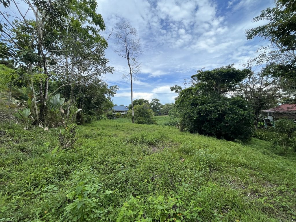 1,000 m² building lot for sale 100 metres from the beach on Isla Colón, Bocas del Toro — photo 2
