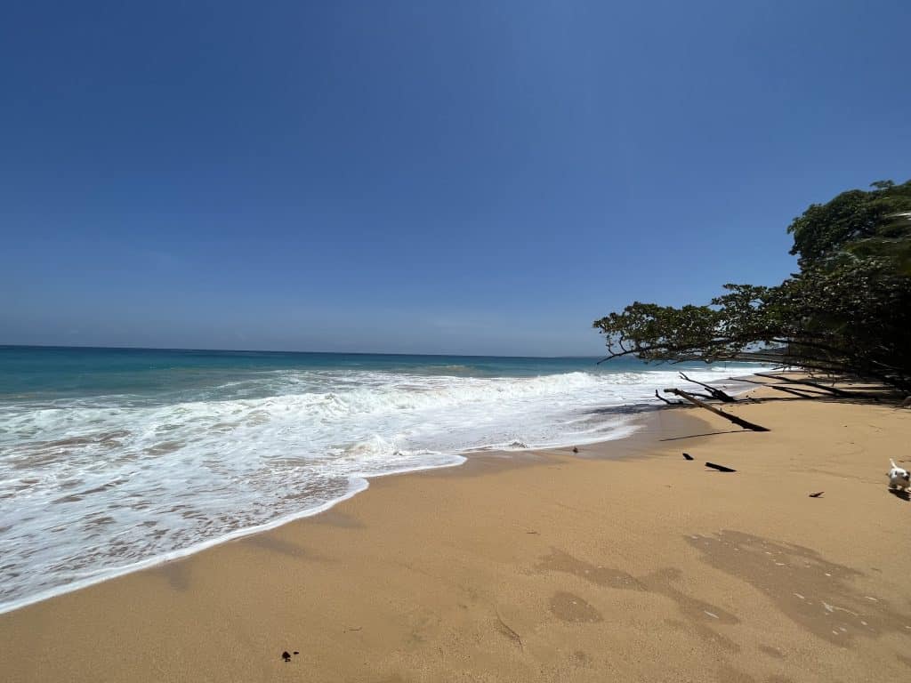 Three-bedroom home for sale near the surf at Playa Bluff, Isla Colón, Bocas del Toro — photo 14