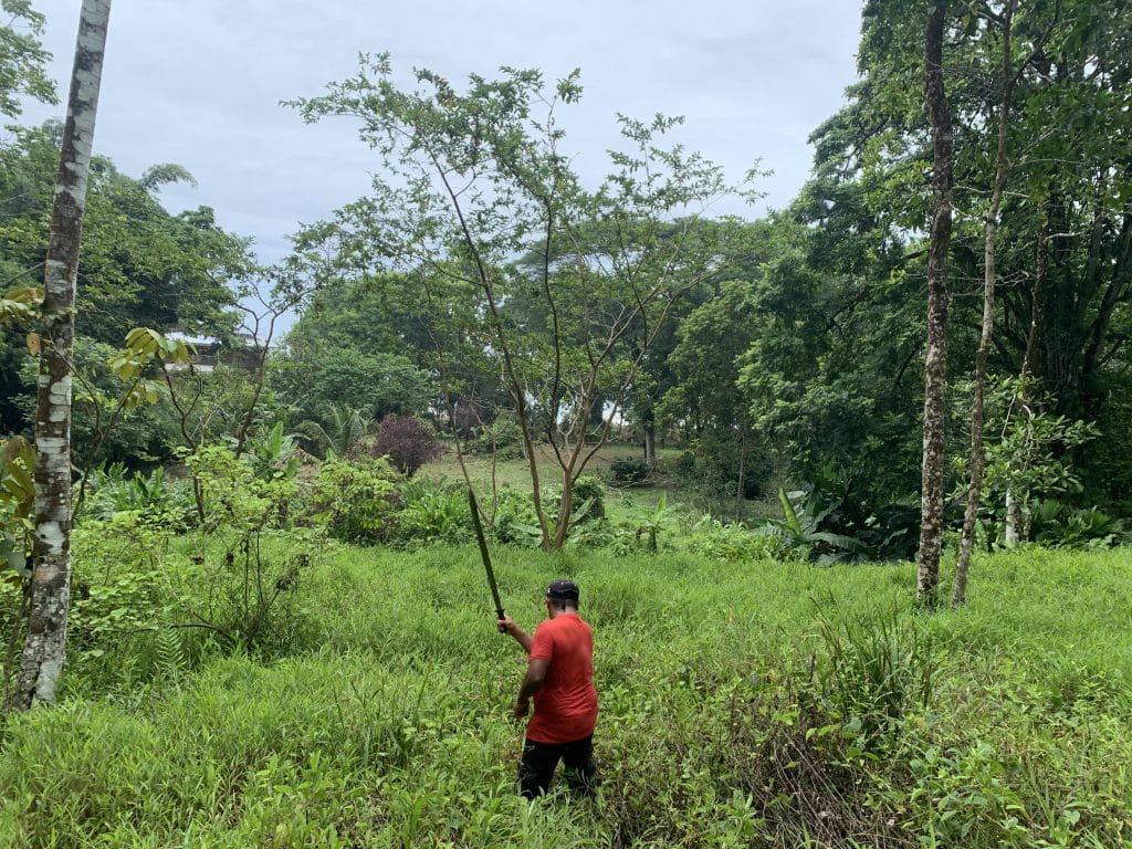 Lot A1, 1,172 m² premium building lot at Bluff Beach, Isla Colón, Bocas del Toro — photo 17