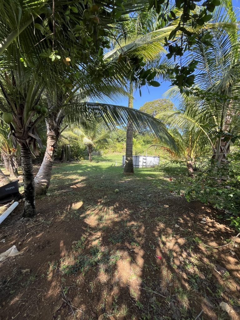 Overwater resort with seven suites for sale on Isla Solarte, Bocas del Toro — photo 21