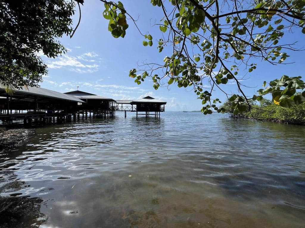 Overwater resort with seven suites for sale on Isla Solarte, Bocas del Toro — photo 22