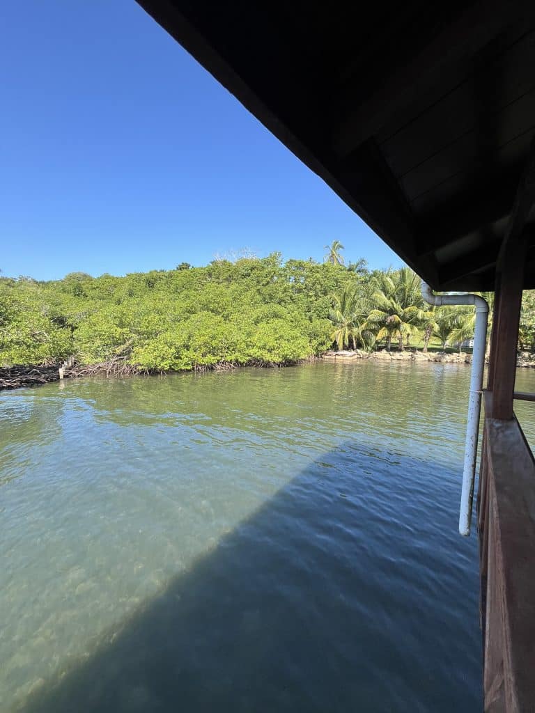 Overwater resort with seven suites for sale on Isla Solarte, Bocas del Toro — photo 37