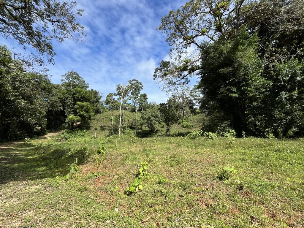 12,519 m² off-grid agricultural land for sale on Isla Colón, Bocas del Toro