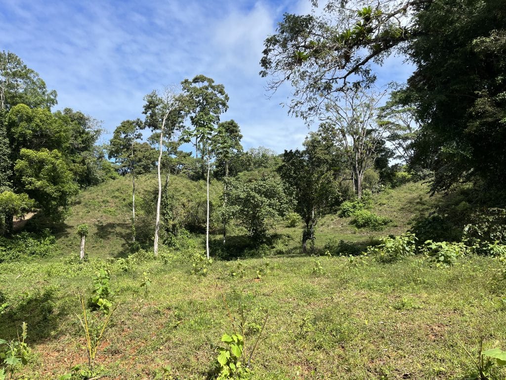 12,519 m² off-grid agricultural land for sale on Isla Colón, Bocas del Toro — photo 2