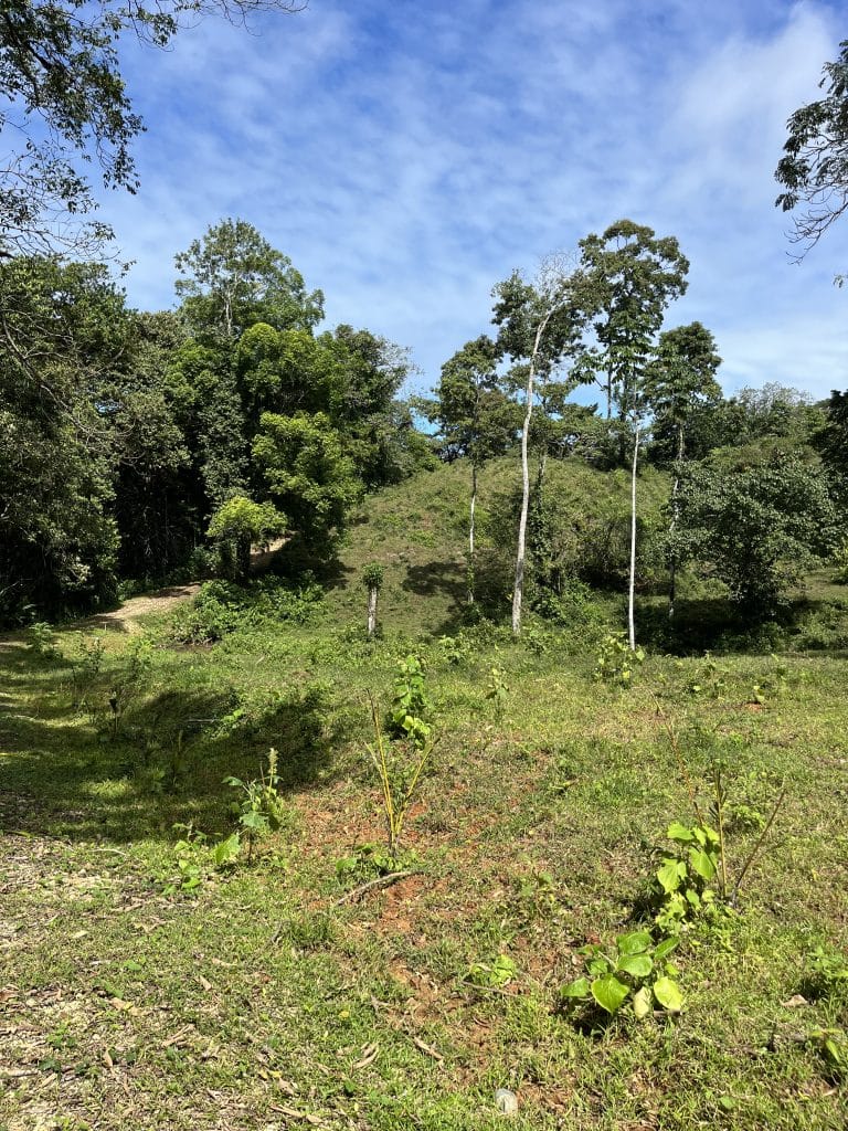 12,519 m² off-grid agricultural land for sale on Isla Colón, Bocas del Toro — photo 3