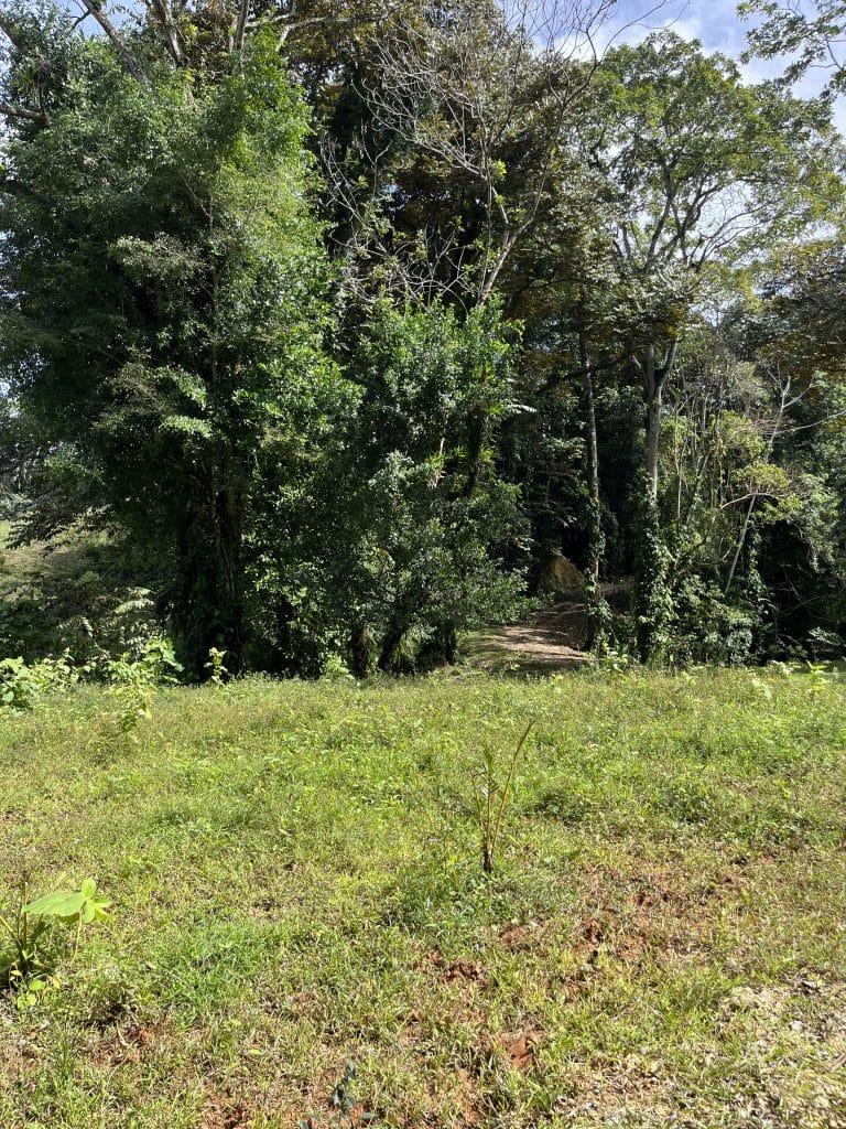 12,519 m² off-grid agricultural land for sale on Isla Colón, Bocas del Toro — photo 4