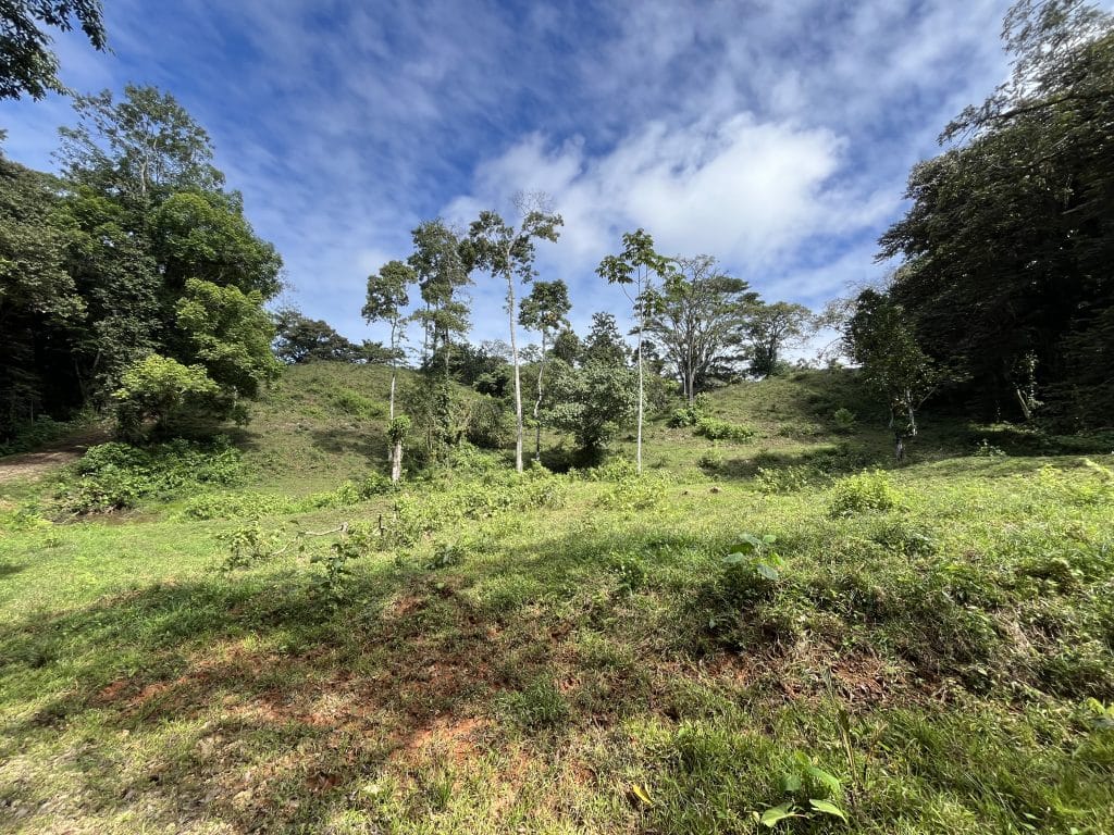 12,519 m² off-grid agricultural land for sale on Isla Colón, Bocas del Toro — photo 5