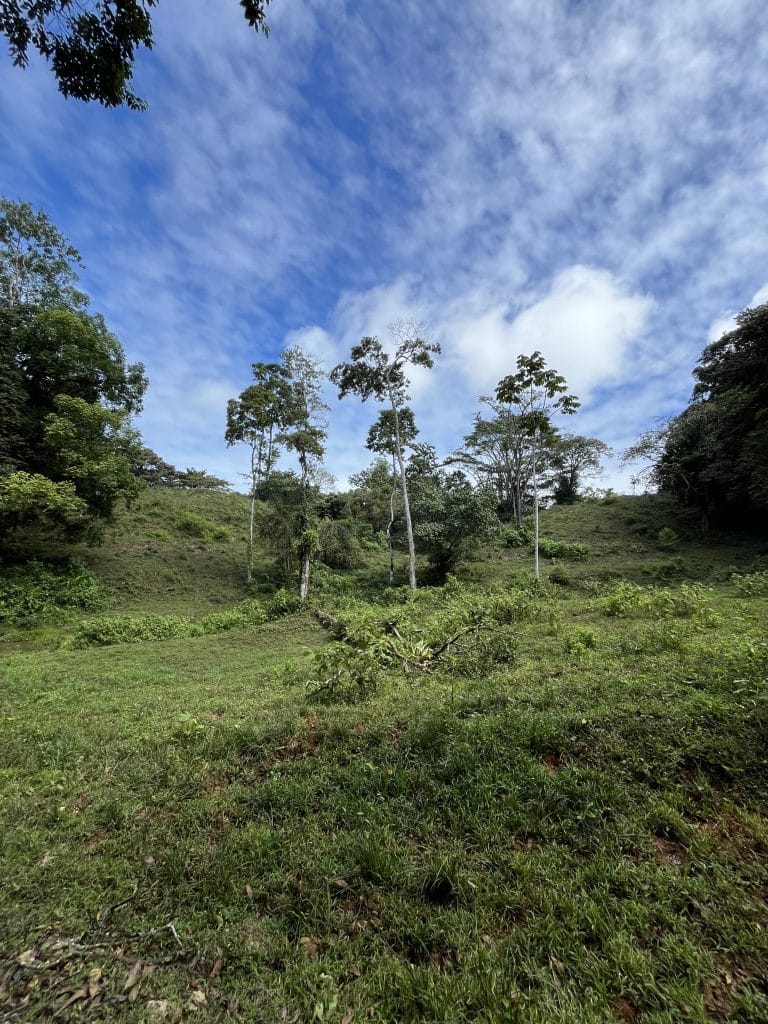 12,519 m² off-grid agricultural land for sale on Isla Colón, Bocas del Toro — photo 6