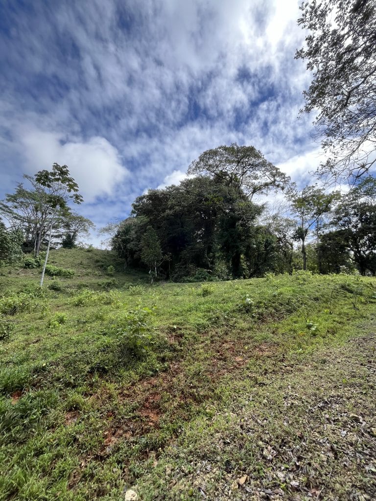 12,519 m² off-grid agricultural land for sale on Isla Colón, Bocas del Toro — photo 7