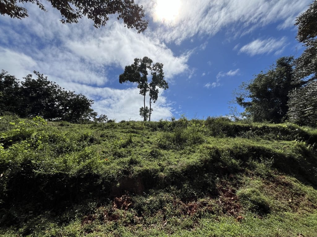 12,519 m² off-grid agricultural land for sale on Isla Colón, Bocas del Toro — photo 8