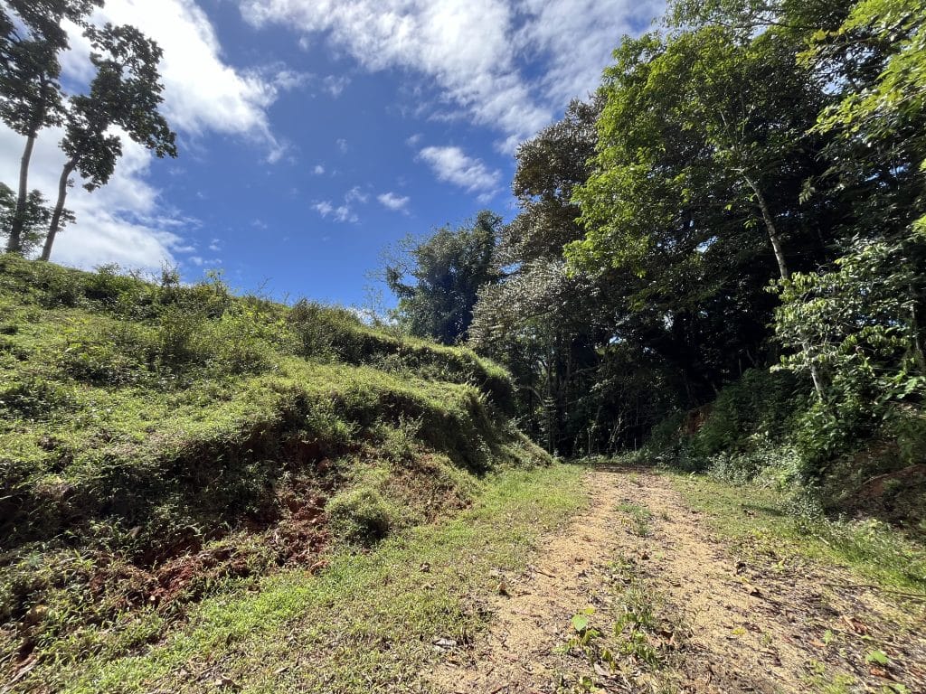 12,519 m² off-grid agricultural land for sale on Isla Colón, Bocas del Toro — photo 9