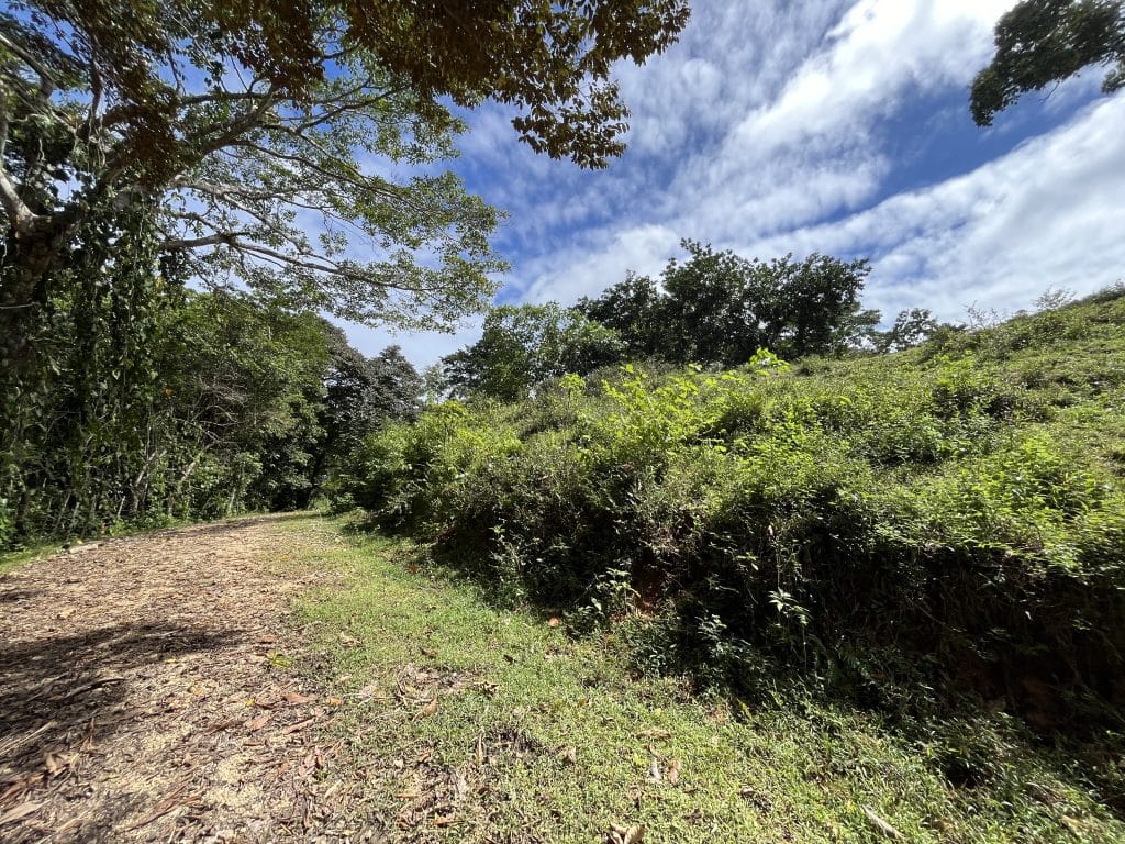 12,519 m² off-grid agricultural land for sale on Isla Colón, Bocas del Toro — photo 10