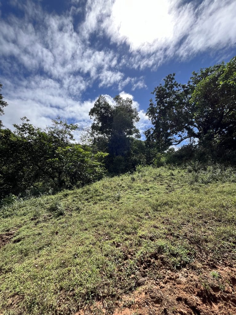 12,519 m² off-grid agricultural land for sale on Isla Colón, Bocas del Toro — photo 11
