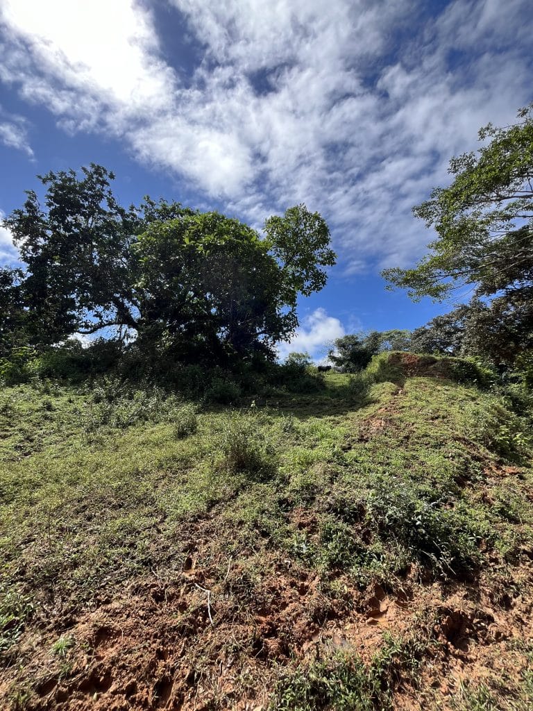 12,519 m² off-grid agricultural land for sale on Isla Colón, Bocas del Toro — photo 12