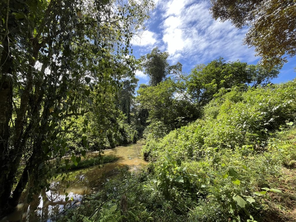 12,519 m² off-grid agricultural land for sale on Isla Colón, Bocas del Toro — photo 14