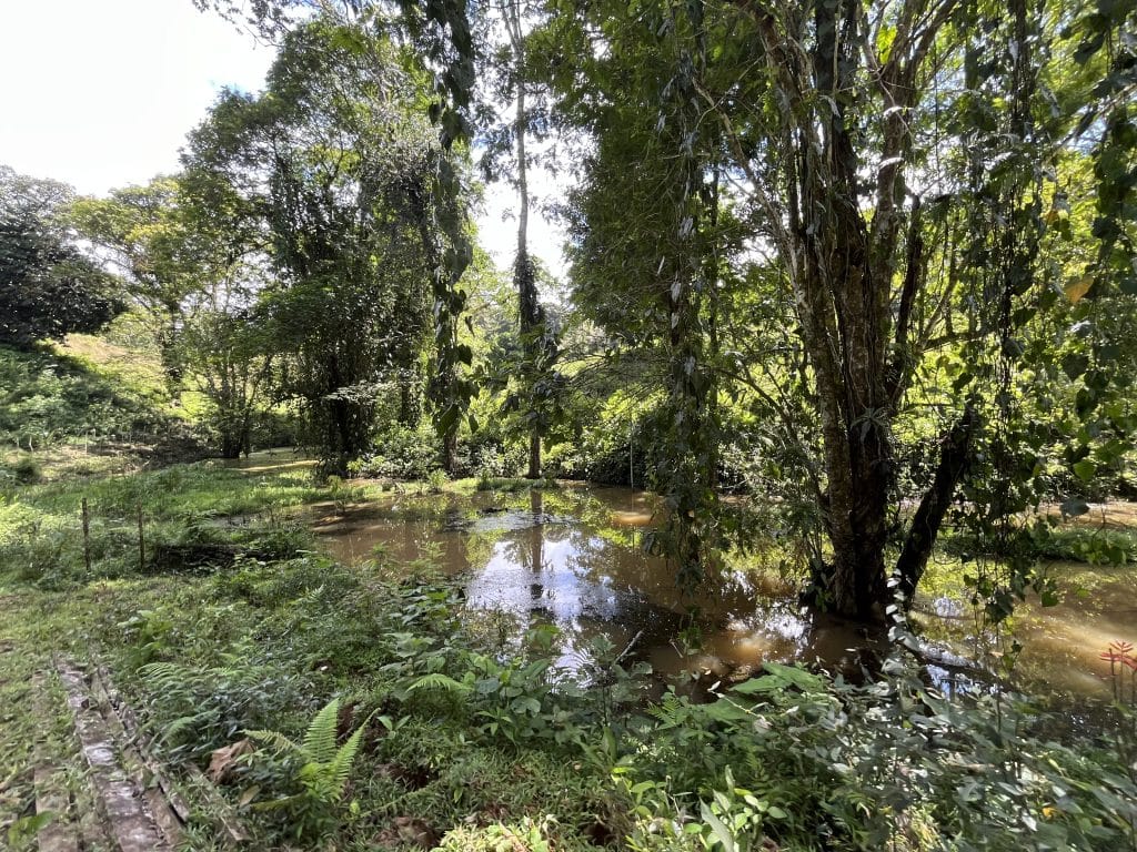 12,519 m² off-grid agricultural land for sale on Isla Colón, Bocas del Toro — photo 15